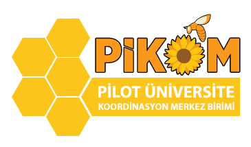 pikom_logo